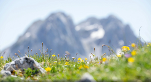 Grand ménage de printemps : avez-vous pensé à votre matelas ?